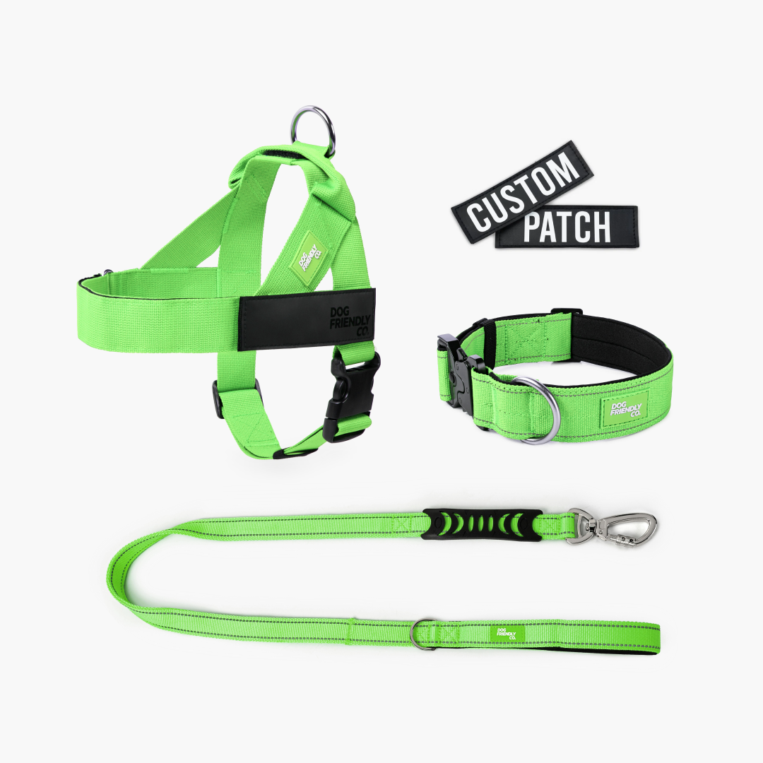 Dog Lovers Pack - Neon Green