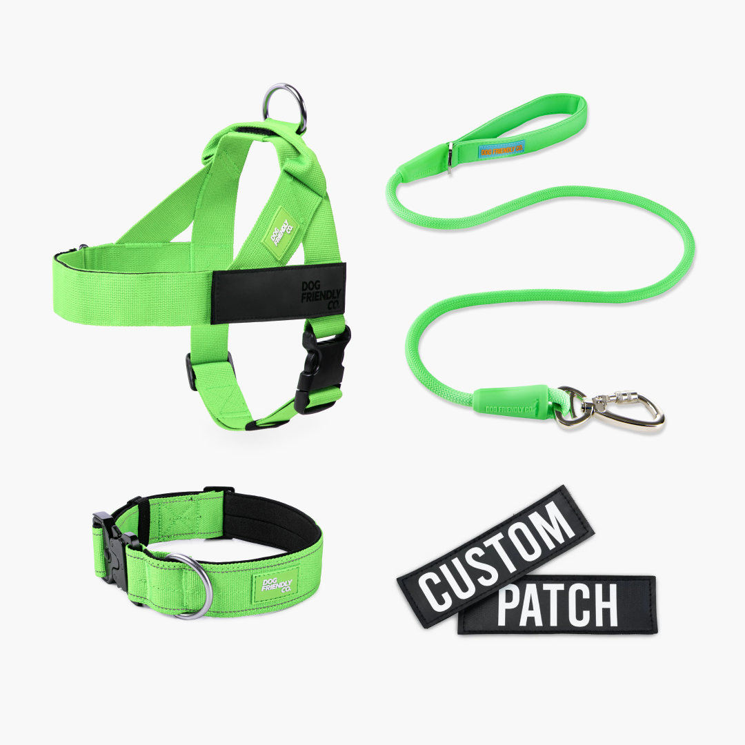 Hundeliebhaber-Paket - Neon Grün