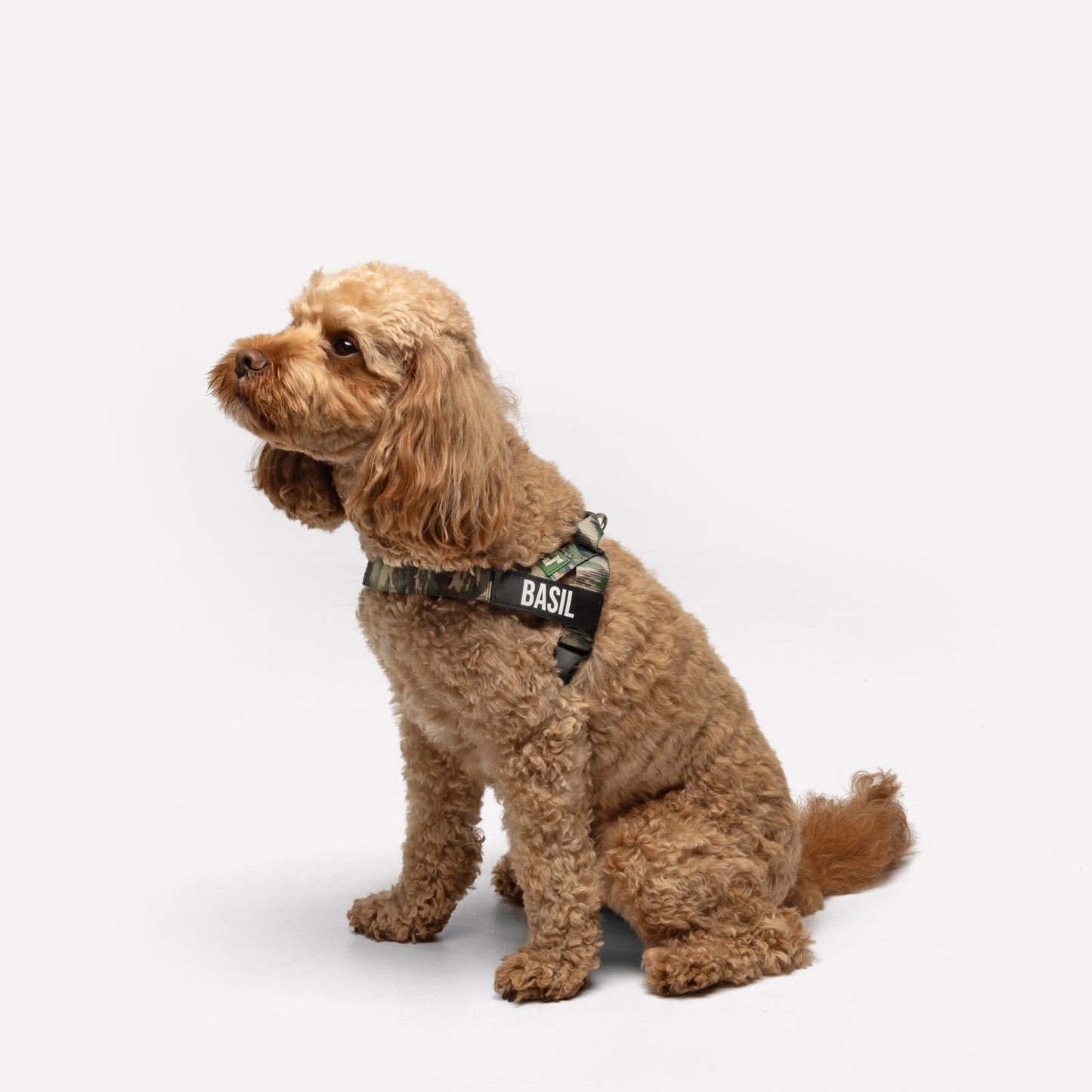 Hundegeschirr - Grüne Tarnung