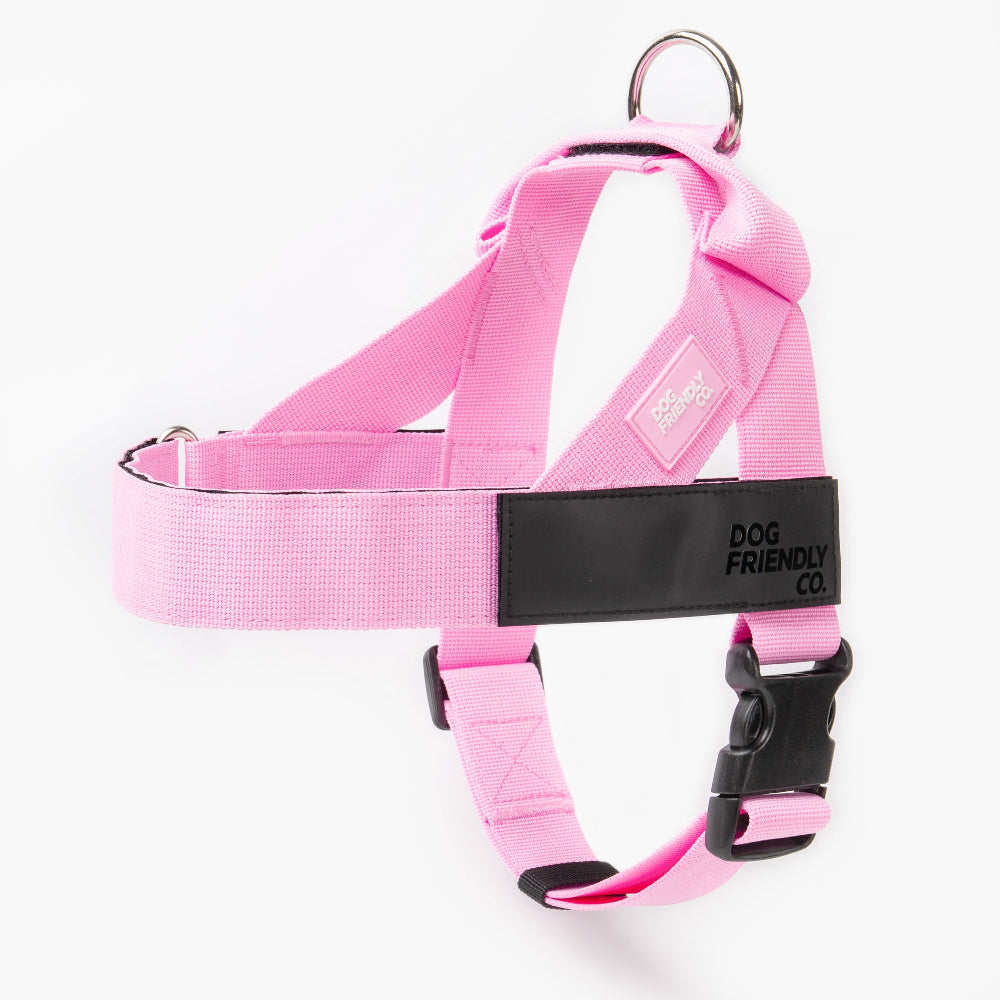 Walk Essentials - Rosa