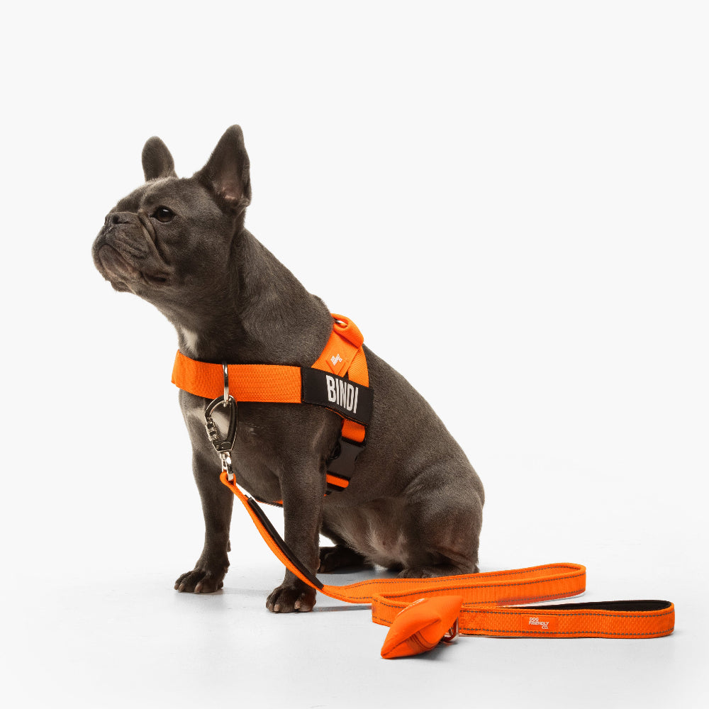 Walk Essentials - Hi-Vis Orange -> Walk Essentials - Signalfarbe Orange