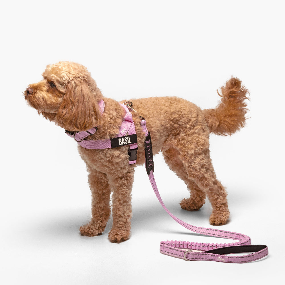 Walk Essentials - Pink