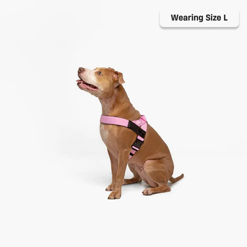 Hundegeschirr - Rosa