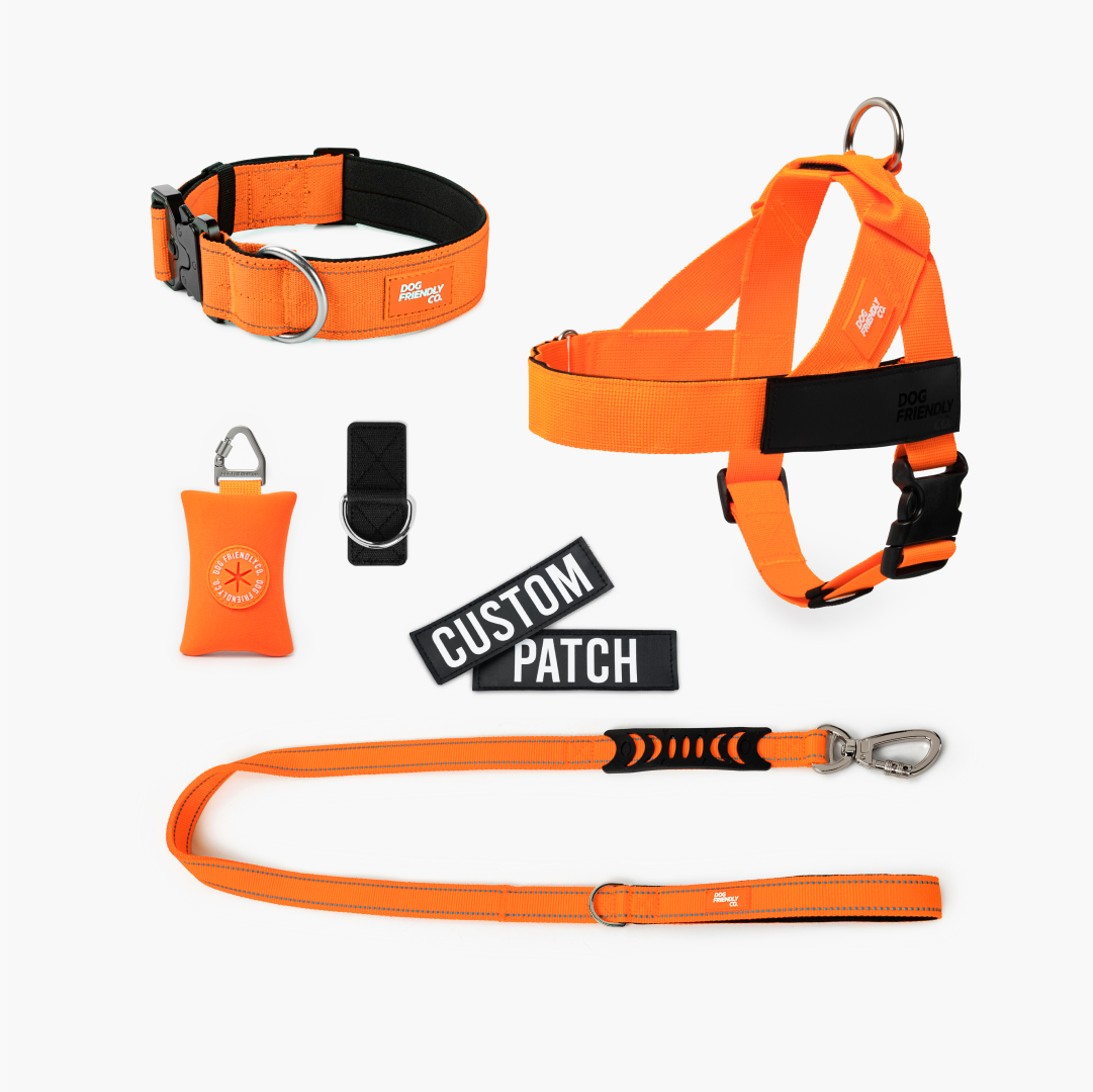 Walk Essentials - Hi-Vis Orange