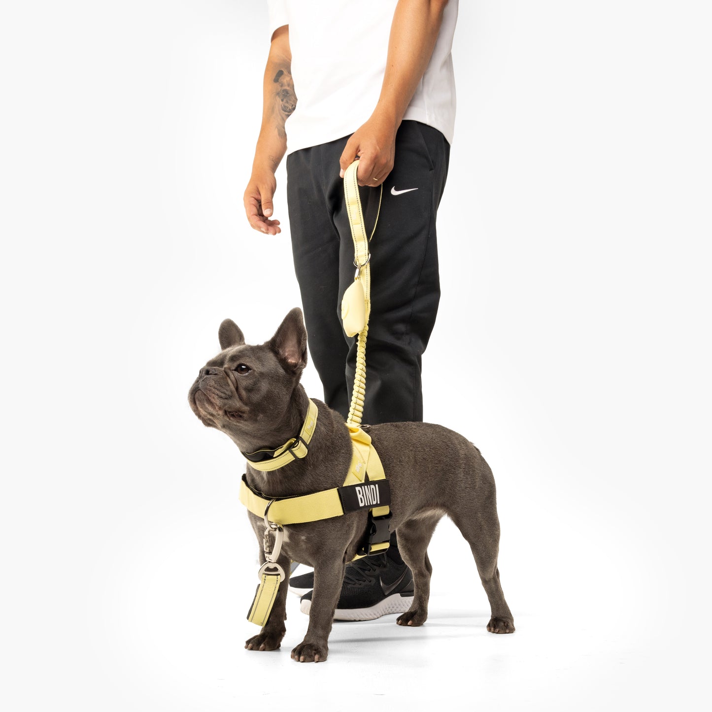 Walk Essentials - Yellow