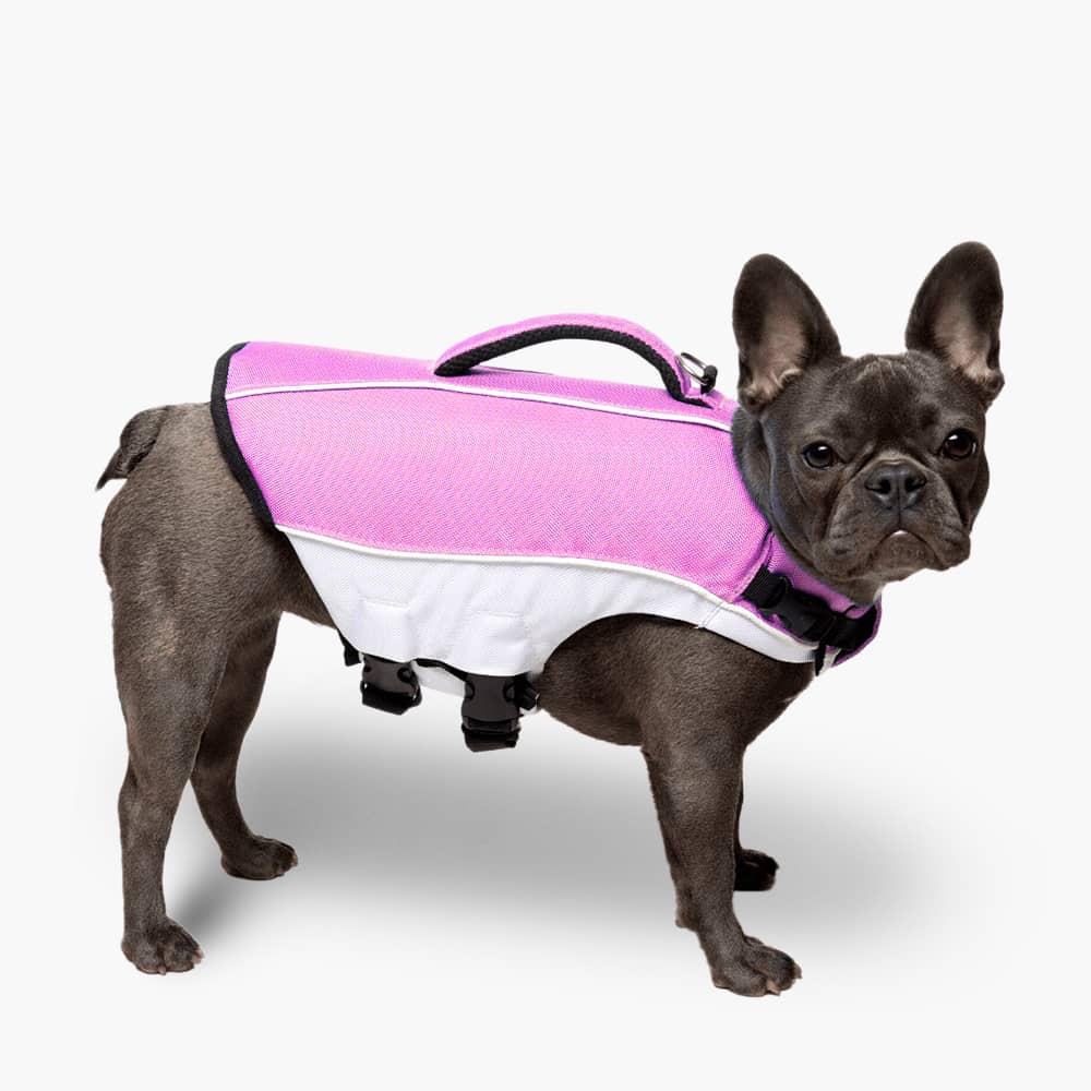 Dog Life Jacket