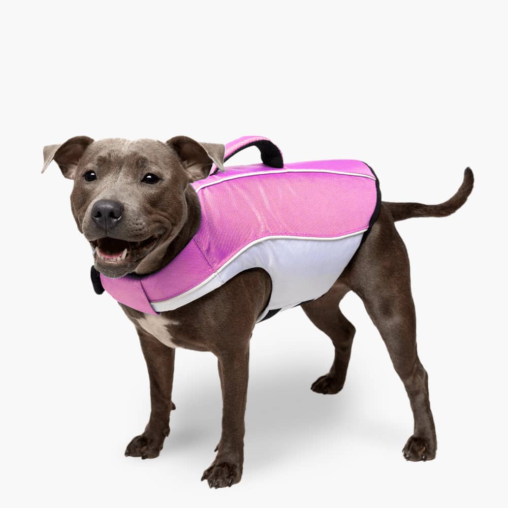 Dog Life Jacket